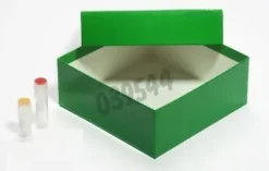 Boîte verte en carton hydrophobe 133 x 133 mm hauteur 50 mm type B pour 81 cryotubes 2 ml