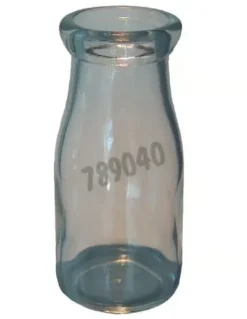 Bouteille verre drosophile x 48