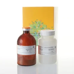 Bright-Glo Luciferase Assay System 100 ml