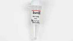 Bsmbi-v2 200 unités