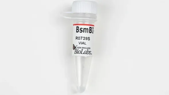 Bsmbi-v2 200 unités