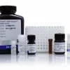 Camp-screen cyclic amp immunoassay system-2 x 96 tests
