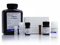 Camp-screen cyclic amp immunoassay system-2 x 96 tests