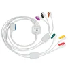 Câble d'extension 6 brins, standards ERC, longueur de 2 m, pour précordiales pour ECG 12D