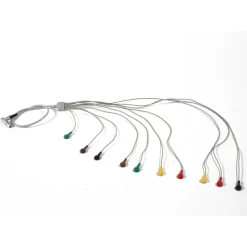 Câble ECG Holter SEER 12 canaux rond IEC - l. 130 cm - l'unité