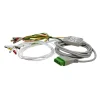 Câble patient 12 dérivations pour 10 électrodes BJ-900P - base de câble + 10 brins - l'unité