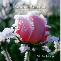 CD musical - Rose de cristal