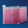 Cell factory 10 plateaux large ouverture NUNC x 2