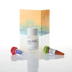 CellTox Green Cytotoxicity Assay 10 mL