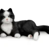 Chat interactif Réglisse - noir et blanc
