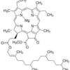 Chlorophyll a from spinach, 1 mg