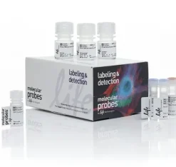 Click-it plus edu cell proliferation kit for imaging, alexa fluor 488 dye-1 kit