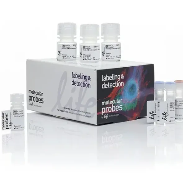 Click-it plus edu cell proliferation kit for imaging, alexa fluor 488 dye-1 kit