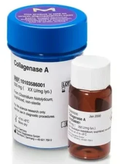 Collagenase A from Clostridium histolyticum, 500 mg