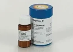 Collagenase D from Clostridium histolyticum, 100 mg