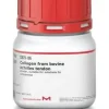 Collagen type i insoluble from bovine 5 g