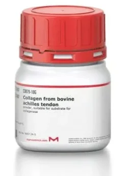 Collagen type i insoluble from bovine 5 g