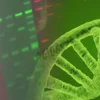 Colorant pour acides nucleiques gelred 3x dans l eau 4 l