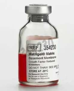 Corning Matrigel Facteur de Croissance Réduit tumeur EHS souris sans LDEV 10 mL