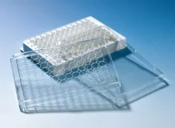 Couvercle pour plaque de microtitration 96 puits deep weel transparent - 20 sachets de 5