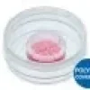 Culture-Insert 4 Well in u-Dish 35 mm, high ibiTreat: ready to use, tissue culture treated, stérilisé x30