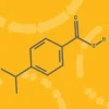 Cumate solution (10,000x high concentration) 0,5 ml