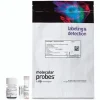 Cyquant direct cell proliferation assay-10 microplates