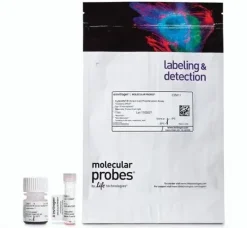 Cyquant direct cell proliferation assay-10 microplates