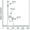 CytoPhase Violet 200 µL