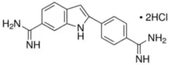 DAPI for nucleic acid staining, 10 mg