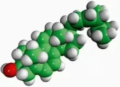 Dehydroergosterol (DHE) ergosta-5,7,9(11),22-tetraen- 3béta-ol, powder, 1 mg