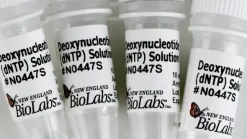 Deoxynucleotide solutions mix 8 µmol