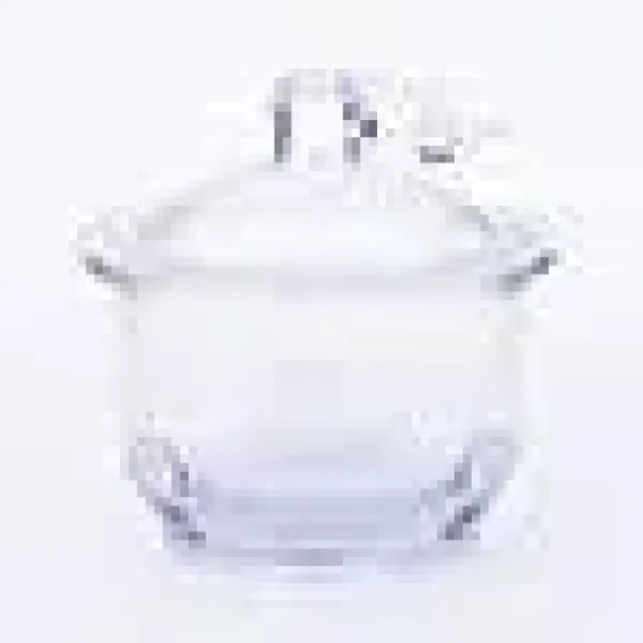 Dessicateur dn250 mobilex m. porcelaine p