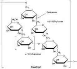 Dextranase partially purified 500 U