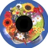 Disque - pour projecteur - thématique fleurs de champ - fixation magnétique - dimension disque : 6''
