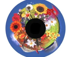 Disque - pour projecteur - thématique fleurs de champ - fixation magnétique - dimension disque : 6''