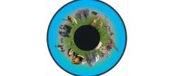 Disque - pour projecteur - thématique animaux d'Afrique - fixation magnétique - dimension disque : 6''