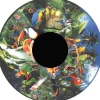 Disque - pour projecteur - thématique oiseaux tropicaux - fixation magnétique - dimension disque : 6''