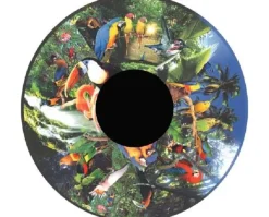 Disque - pour projecteur - thématique oiseaux tropicaux - fixation magnétique - dimension disque : 6''