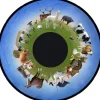 Disque - pour projecteur - thématique animaux de ferme - fixation magnétique - dimension disque : 6''