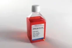 Dmem low glucose w/o l-glutamine w/napyr 500 mL