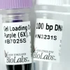 DNA Ladder 100 bp 500 gel lanes