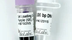 DNA Ladder 100 bp 500 gel lanes