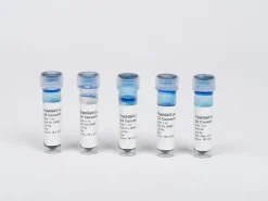 DNA Loading Buffer 6X 5 x 1 ml