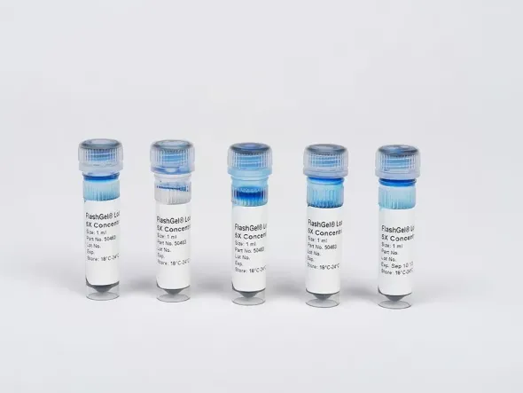 DNA Loading Buffer 6X 5 x 1 ml