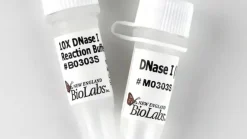 Dnase i (rnase-free) 1000 unités