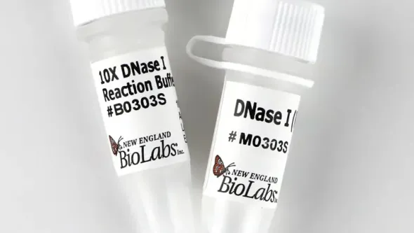 Dnase i (rnase-free) 1000 unités