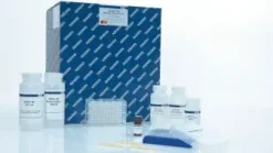 Dneasy Blood Tissue Kit (12)