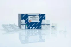 DNeasy Blood Tissue Kit (50)