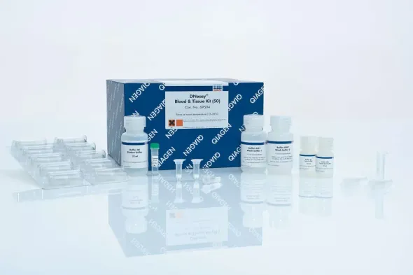 DNeasy Blood Tissue Kit (50)